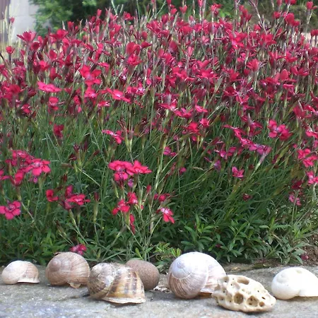 Penzion Hraničář *